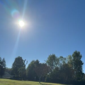 Meet your Posher, Ana